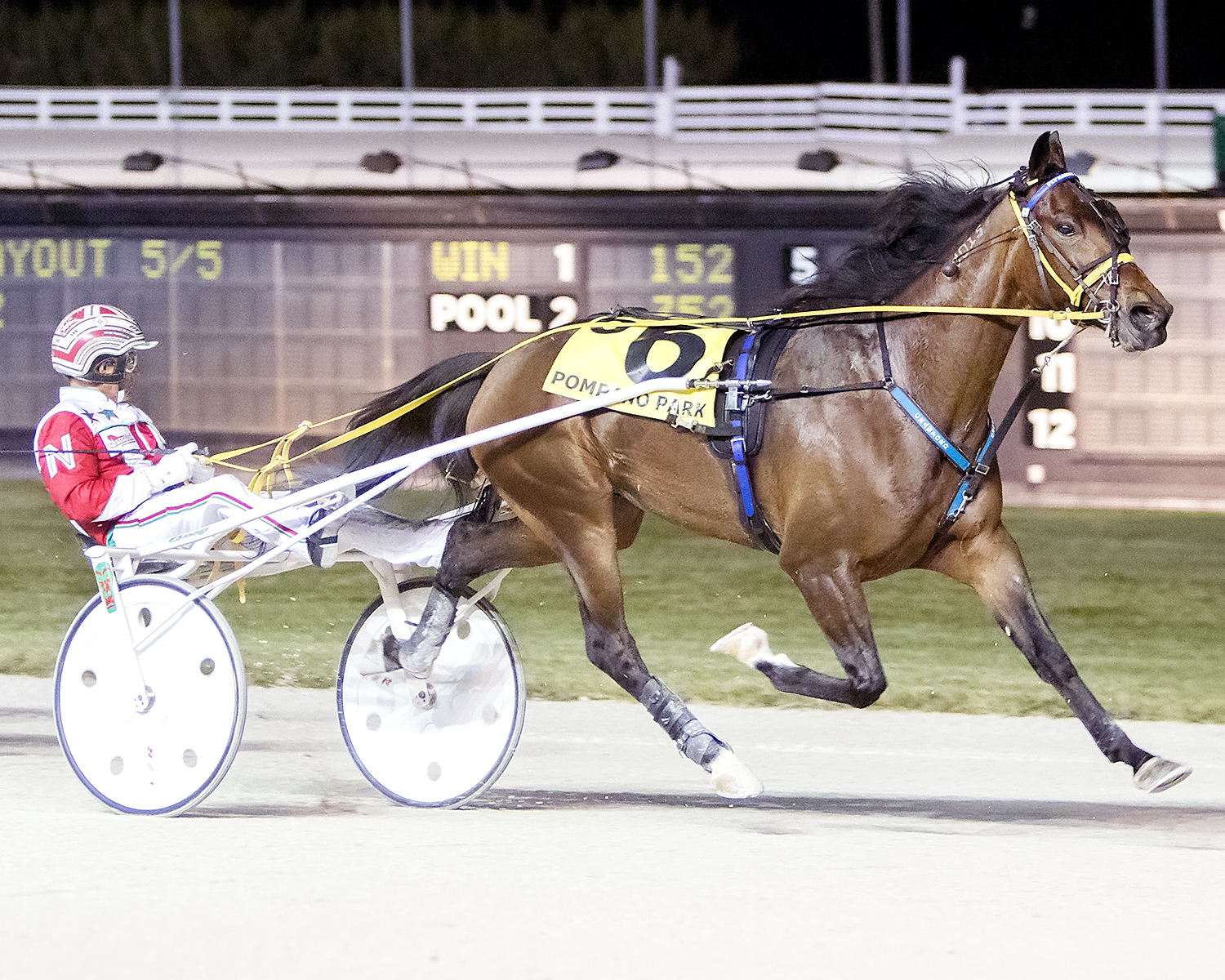 02-17-16 6 Royal Max