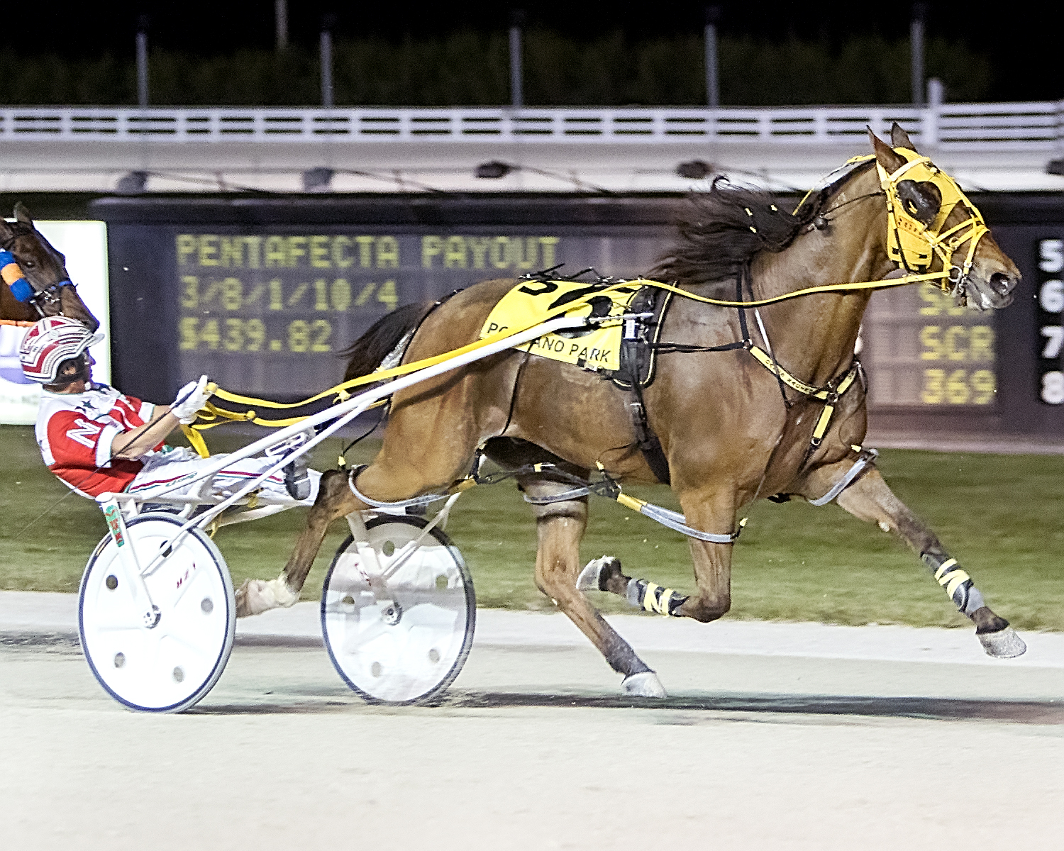 02-21-17 5 Scott Rocks