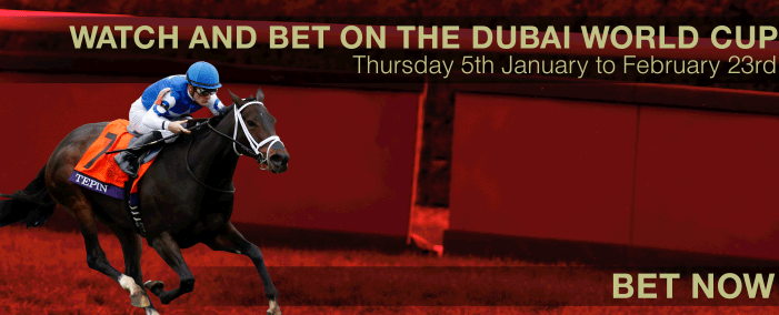 2017-dubai-banner-ad
