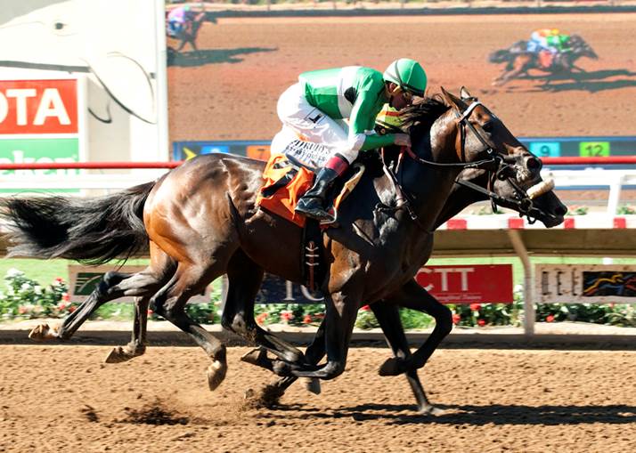 Exaggerator image001 (10)