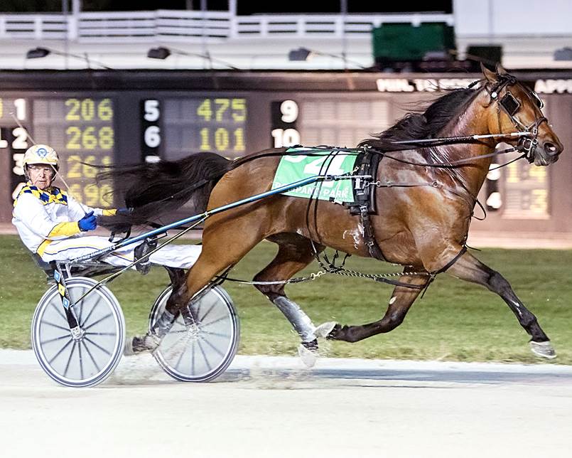 Goldstar Classic image001 (11)