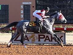 Online Horse Wagering