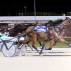 MY REVENUER PULLS OFF 19 TO 1 SHOCKER IN POMPANO OPEN TROT