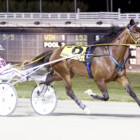 8% Exotics; Pompano Park Update for IdaBet.com Players