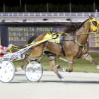 Play Pompano Tonight – IdaBet.com Mulligan Monday