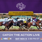IdaBet Breeders’ Cup Double Winning Bonus & Handicapper Contest