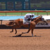 Ruidoso Downs Race Track Set to Run First Leg of the Quarter Horse Triple Crown on Sunday