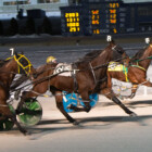 Cobble Beach Uses New Tactic for Buffalo Raceway Win