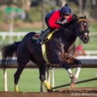 Santa Anita Stable Notes – Saturday, February 20, 2016