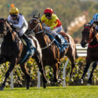 HKJC – International Races week