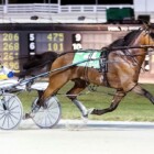 Goldstar Classic, Pocket Trip Score At Pompano – IdaBet.com