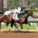 IdaBet.com Players Note Santa Anita $75,000 Baffle Stakes Iron Rob