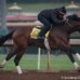 Santa Anita Stable Notes Sunday, February 14, 2016