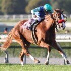 STEVENS GUIDES PAULINA’S LOVE TO CLEVER NECK WIN