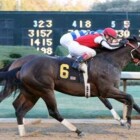 8% Exotic Rewards At IdaBet.com & RIDE ON CURLIN HEADLINES SAM HOUSTON SATURDAY, FEBRUARY 27