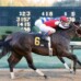 8% Exotic Rewards At IdaBet.com & RIDE ON CURLIN HEADLINES SAM HOUSTON SATURDAY, FEBRUARY 27