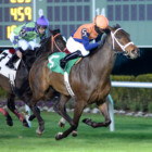 Sam Houston Stakes Set for Saturday, February 13, 2016