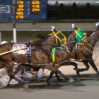 8% Buffalo Some Exotics; Western Alumni Takes Buffalo Raceway Open Pace ‘War’