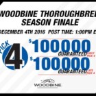 Woodbine Thoroughbred Season Finale – December 4th – Post 1pm