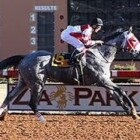 Penn National Stakes Racing & Free Overnights – Thanksgiving Week On IdaBet.com